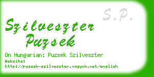 szilveszter puzsek business card